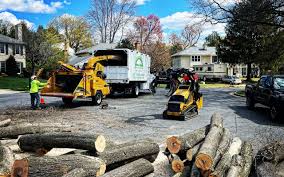 Best Emergency Tree Removal  in Crandon, WI
