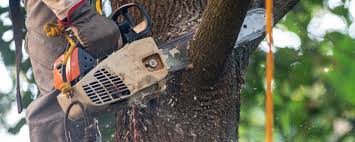 Lawn Watering Services in Crandon, WI