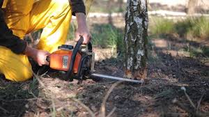 Best Landscape Design and Installation  in Crandon, WI