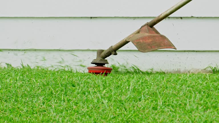 Best Utility Line Clearance  in Crandon, WI